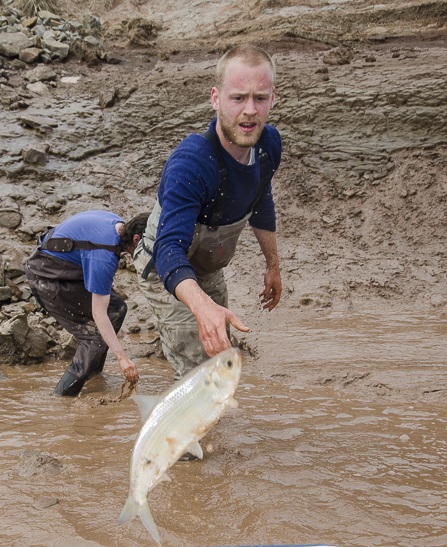 tl_files/sites/cel/Our Team Photos/George-Sturgeon.JPG tl_files/sites/cel/Our Team Photos/George-Sturgeon.JPG